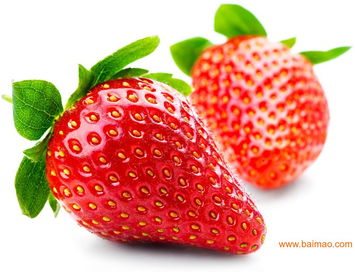 可用于食品饮料保健食品浓缩草莓汁与速溶草莓粉,可用于食品饮料保健食品浓缩草莓汁与速溶草莓粉生产厂家,可用于食品饮料保健食品浓缩草莓汁与速溶草莓粉价格